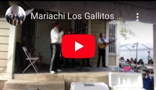 Mariachi Los Gallitos De Francisco "El Gallito" Margarita, Margarita image of Mariachi Los Gallitos De Francisco "El Gallito" Margarita, Margarita