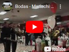 Mariachi Nuevo Guadalajara- wedding event Mariachi Nuevo Guadalajara- wedding event