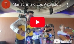Mariachi Trio Los Azulado--"EL ANDARIEGO" Mariachi Trio Los Azulado--"EL ANDARIEGO" - Anniversary event